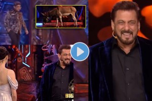 bigg boss 18 advocate Gunaratna sadavarte entry with pet donkey max in salman khan show watch promo