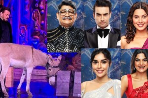 Bigg Boss 18 Grand Premiere Live Updates