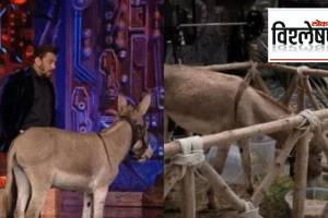 Bigg Boss 18_ donkey Gadhraj gets evicted