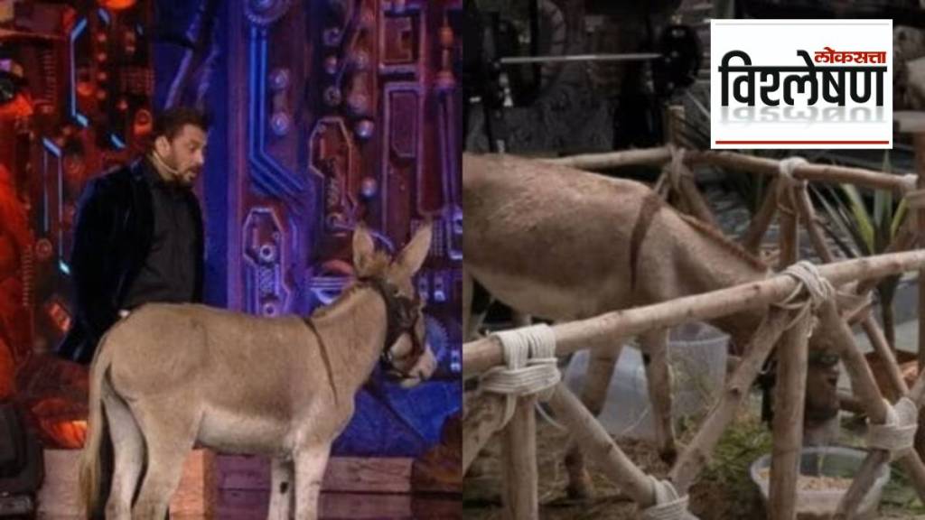 Bigg Boss 18_ donkey Gadhraj gets evicted