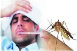 800 cases of dengue and 600 cases of winter fever were found in the state of Maharashtra in 10 days Mumbai print news