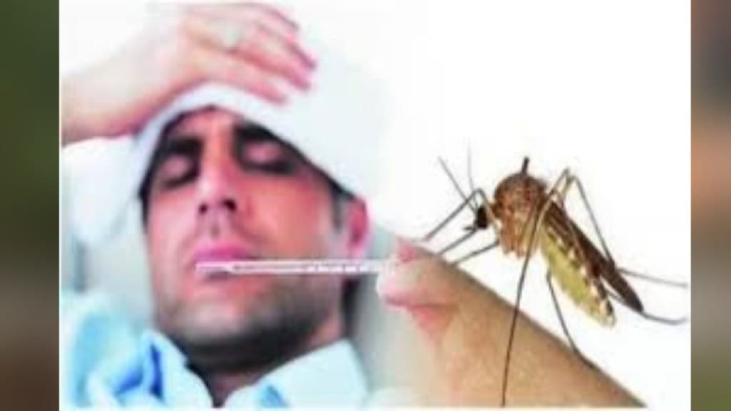 800 cases of dengue and 600 cases of winter fever were found in the state of Maharashtra in 10 days Mumbai print news