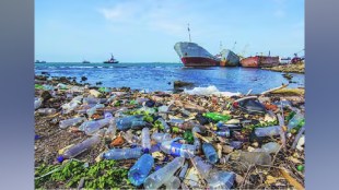 High Court clarified to file a Public Interest Litigation regarding the pollution of garbage on the beaches of Mumbai print news