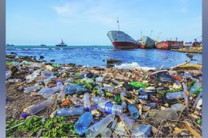 High Court clarified to file a Public Interest Litigation regarding the pollution of garbage on the beaches of Mumbai print news