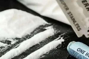 Drugs worth Rs 485 crore seized by Mumbai Police in a year