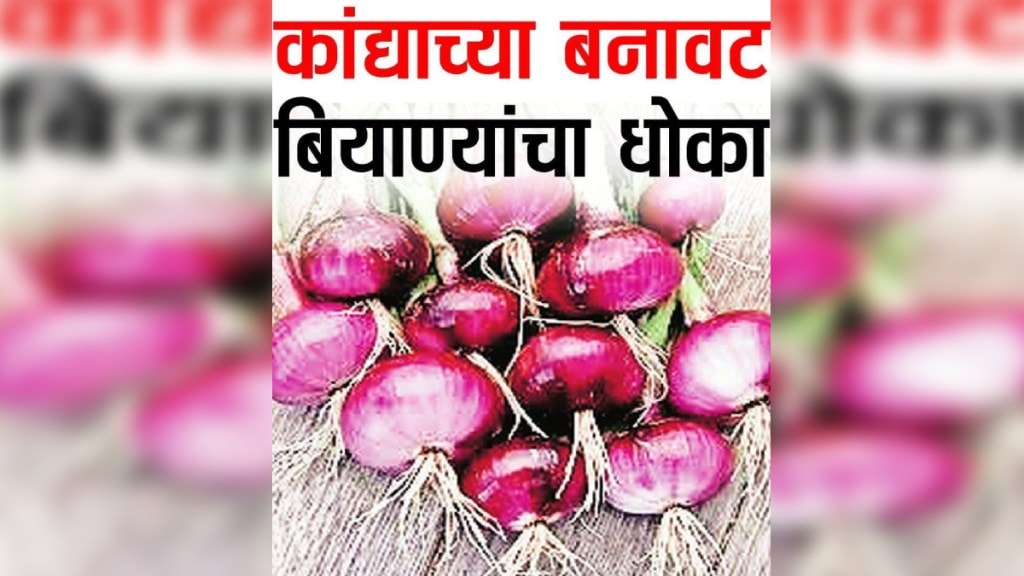 loksatta Lokshivar fake onion seeds in the market has increased for sale