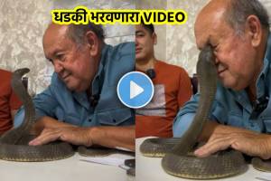 King Cobra Bite On Eye Video Viral