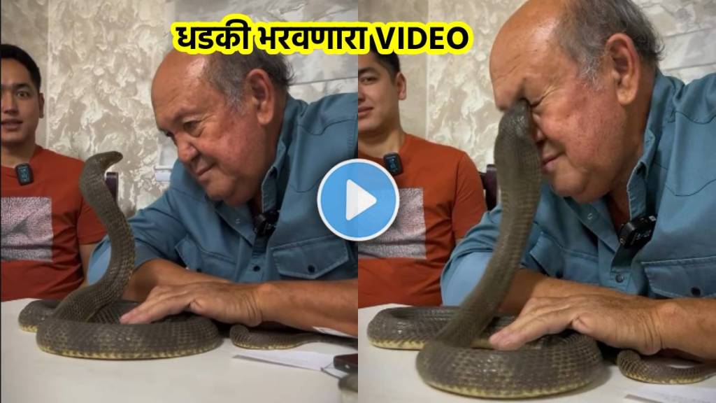 King Cobra Bite On Eye Video Viral