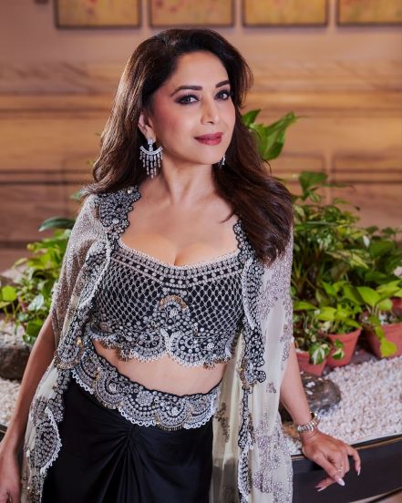 Madhuri Dixit Bhool Bhulaiyaa 3 Movie