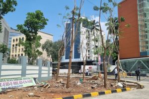 Environmentalists allege that some trees were uprooted outside the Metro 3 station