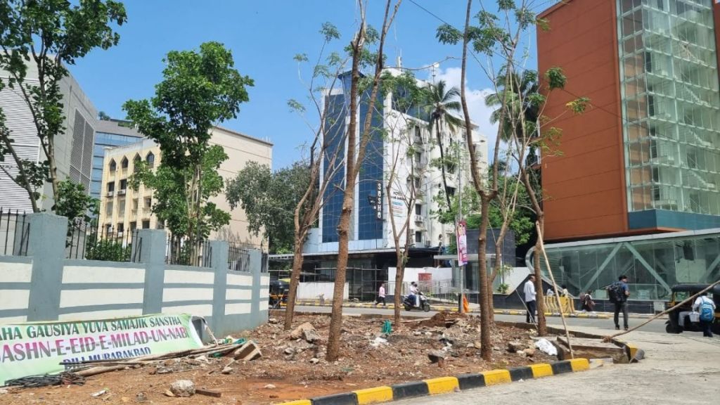 Environmentalists allege that some trees were uprooted outside the Metro 3 station