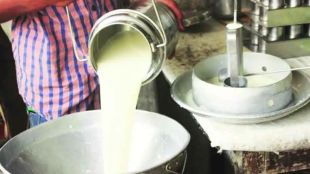 highest price of milk is Rs 83 per litre on Kojagari Poornima