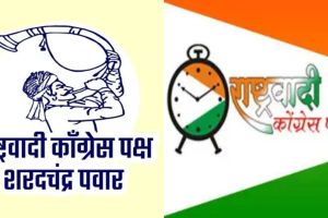 NCP Sharad Pawar or NCP Ajit Pawar will fight in Vadgaon Sheri and Hadapsar constituencies in pune