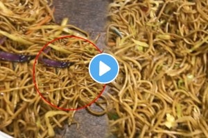 Shocking video If you are eating chowmein then be aware worms found in noodles video viral