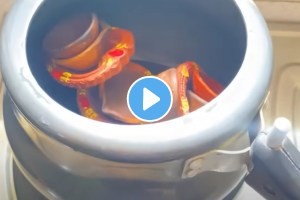 Diwali diya jugaad diya in cooker video