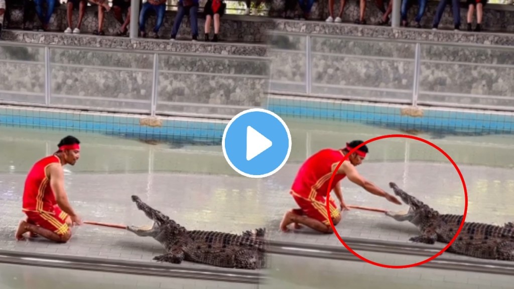 Man putting hand inside crocodiles mouth crocodile shocking video