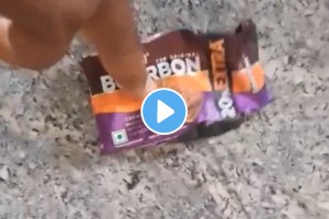 Shocking VIDEO: Father Warns Parents After Finding Iron Wire In Bourbon Biscuit Bought For His Children In Telangana