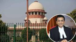 CJI DY Chandrachud: ‘सर्वोच्च न्यायालयाने संसदेतील विरोधी पक्षासारखं…’, सरन्यायाधीश डीवाय चंद्रचूड यांचं महत्त्वाचं भाष्य