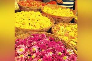 Ghatasthapana, Dadar flower market,