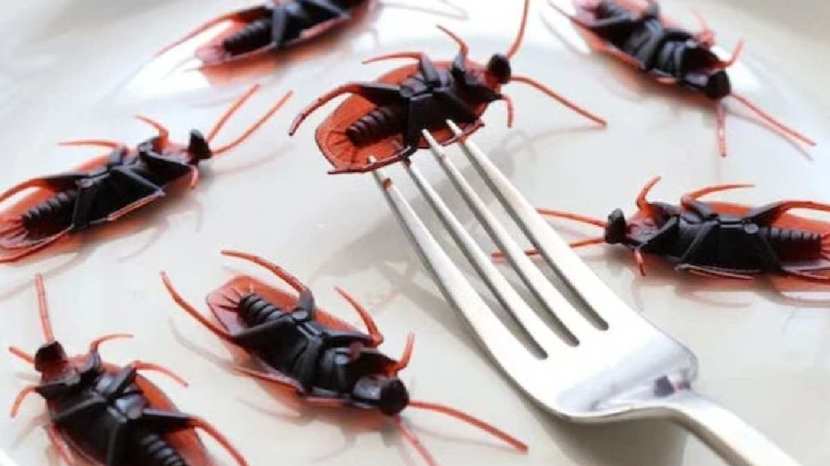 Home remedies for cockroaches