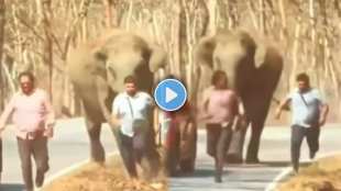 Elephant tried to attack two persons