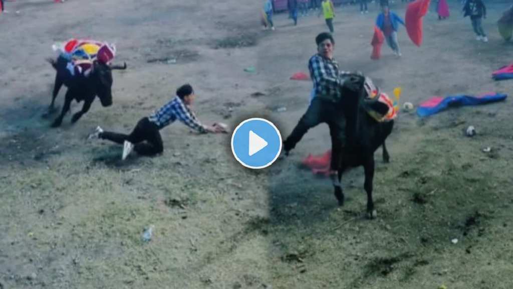 bull attacked the young man