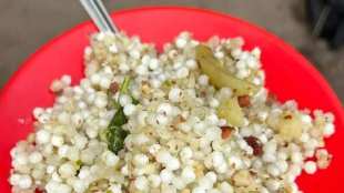 sabudana khichdi recipe in marathi