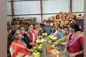 demand for bananas in navratri has decreased