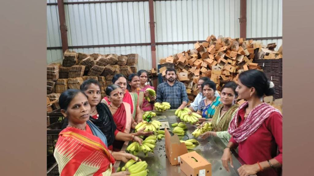 demand for bananas in navratri has decreased