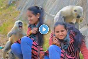 woman having fun with a monkey