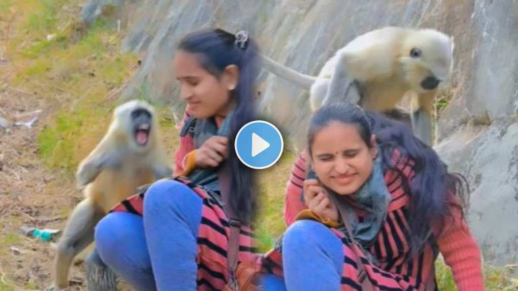 woman having fun with a monkey