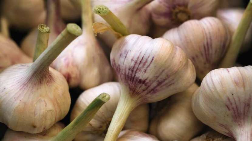 Raw Garlic For Acne