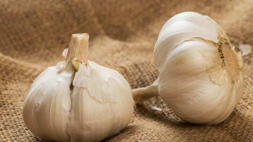 Raw Garlic For Acne