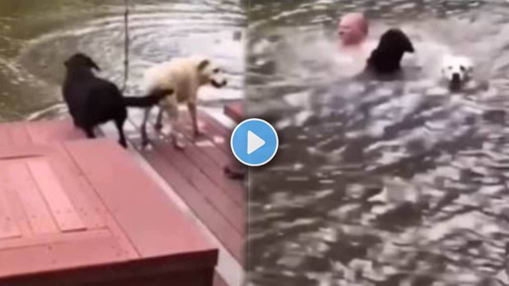 Dog jumps to save drowning owner