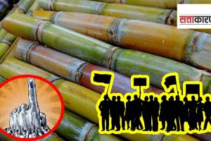 sugarcane price agitation, Assembly Code of Conduct, sugarcane, sugarcane price,