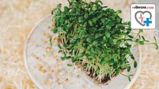 Methi Sprouts Benefits