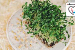 Methi Sprouts Benefits