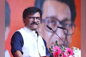 defamation case, Medha Somayya, Sanjay Raut,