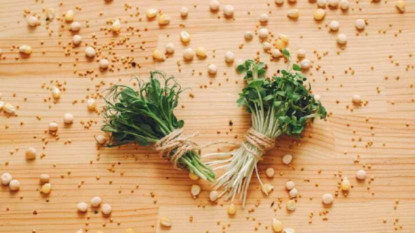 Methi sprouts benefits for health