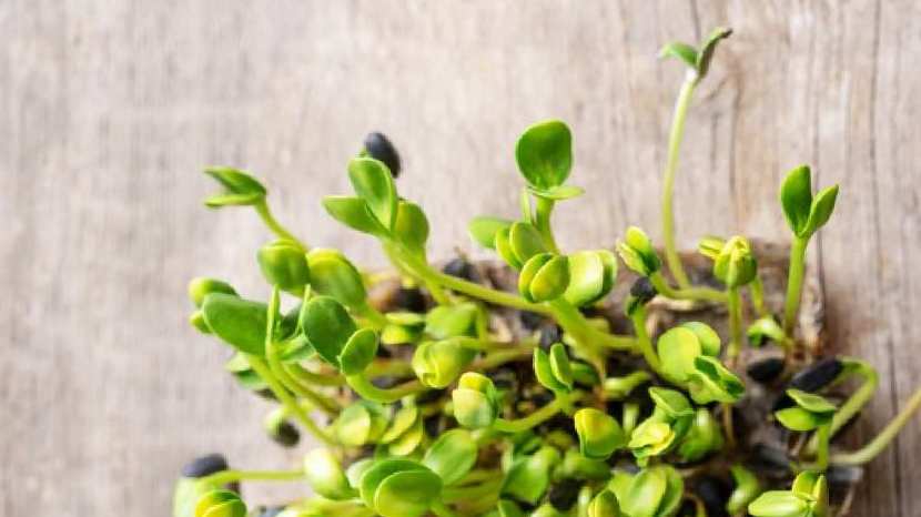 Methi sprouts benefits for health