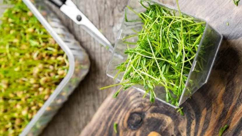 Methi sprouts benefits for health