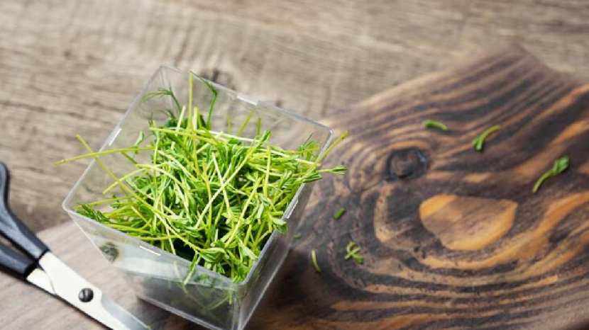 Methi sprouts benefits for health