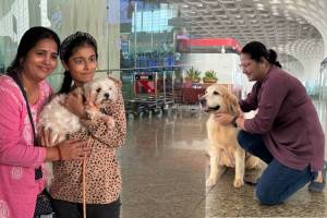 pofect initiative started again at mumbai airports terminal two