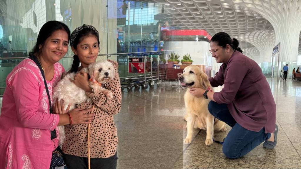 pofect initiative started again at mumbai airports terminal two