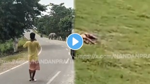 Shocking video On Camera, Biker Chased And Mauled To Death By Rhino In Assam