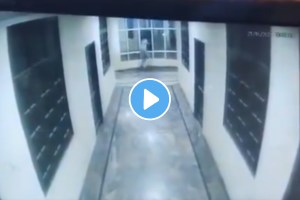 TRAGIC! Hyderabad Youth Falls Off 3rd Floor Of Hotel Building While Trying To Shoo Away Dog