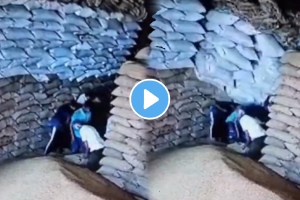 Shocking video Sacks full of grains fall on some workers working in a big warehouse all the shocking incident