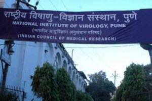 Niv Recruitment 2024 Notification National Institute Of Virology Jobs 31 Vacancies Trade Apprentice Apply Now pune job