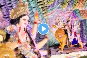 Madhya Pradeshs Durga Mata Pandal Uses Real 500 Rupee Notes For Decoration Worth 51 Lakh Rupees Video Viral