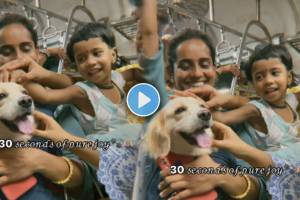 Pet dog Minnie Travel in local train